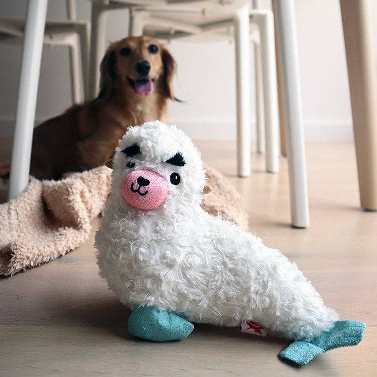 Kobe Seal Dog Toy - The Feral Market