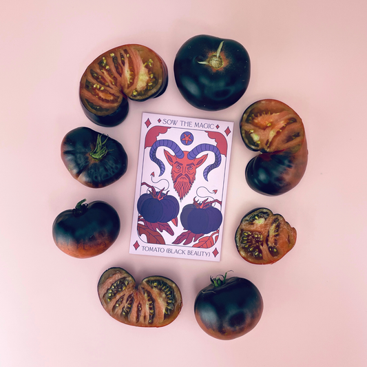 Black Beauty Tomato Tarot Garden + Gift Seed Packet - The Feral Market