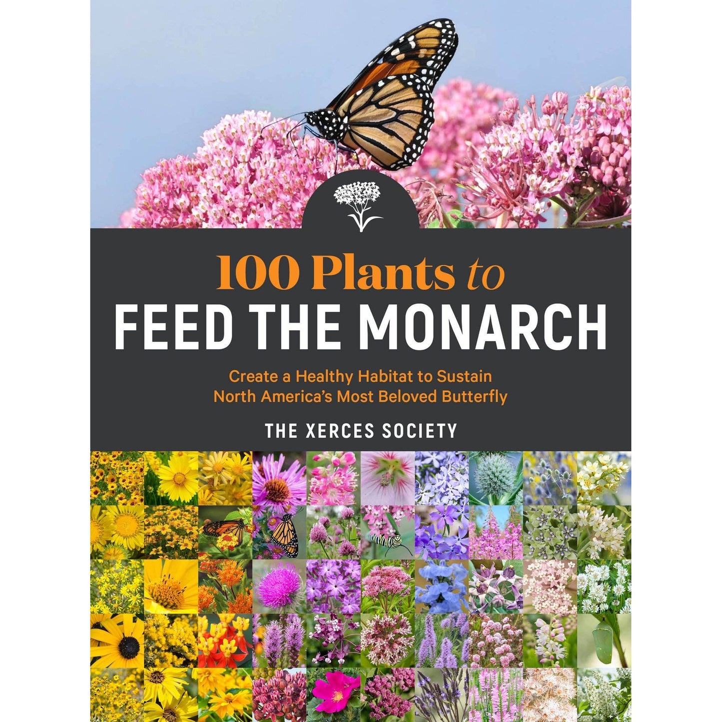 100 Plants to Feed the Monarch - The Feral Market