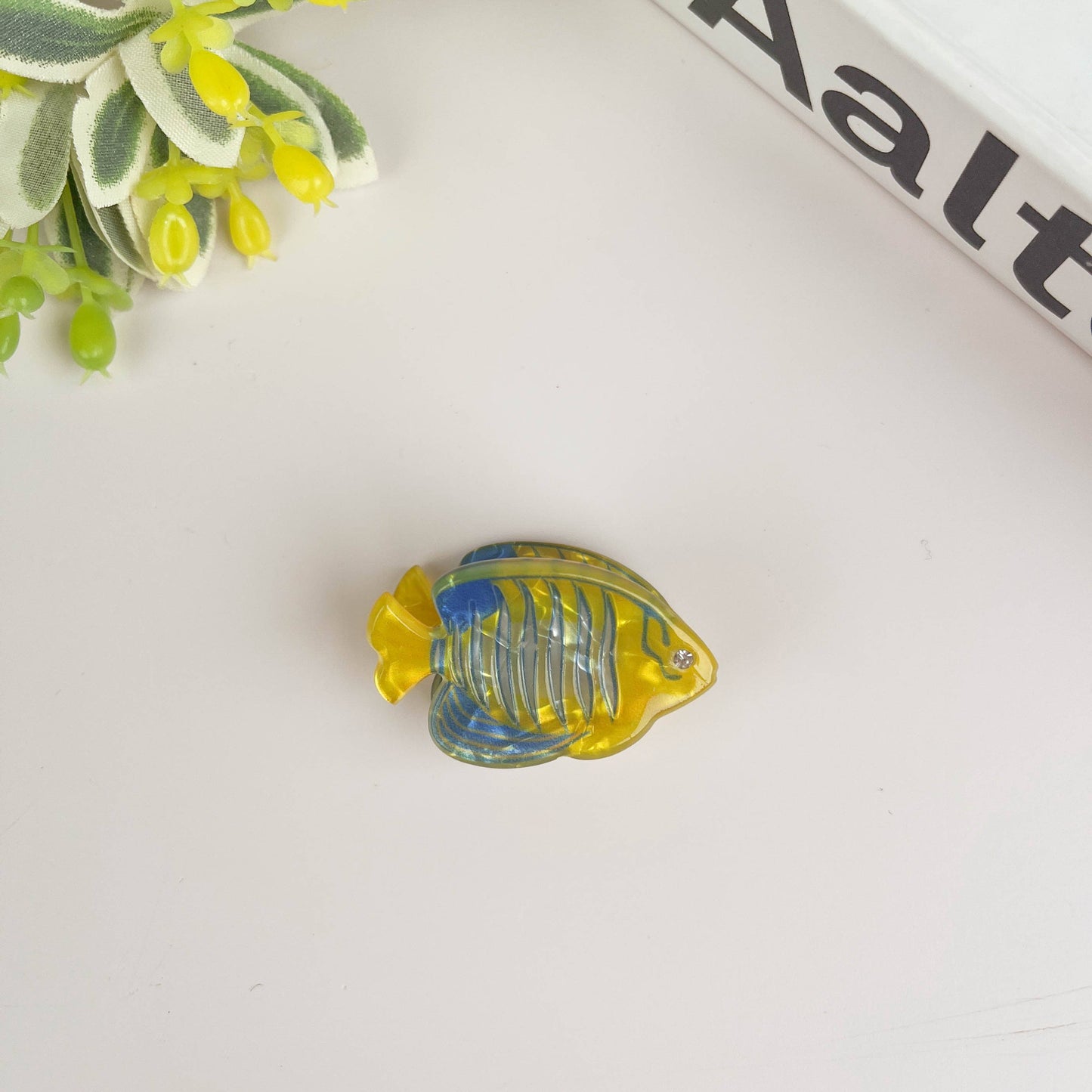 Mini Marine Fish - The Feral Market