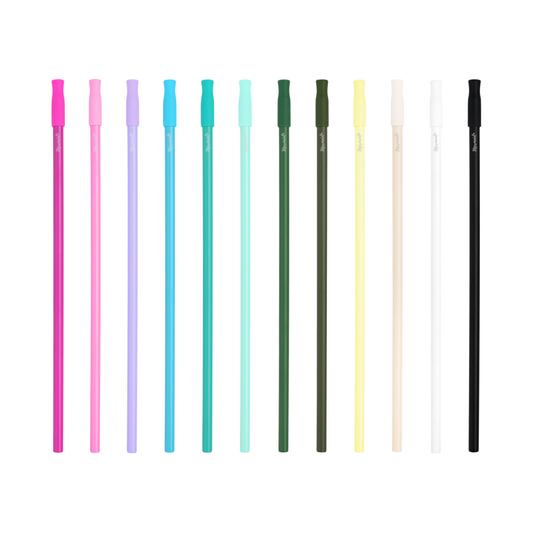 Long Ceramic Coated Stainless Steel Straw