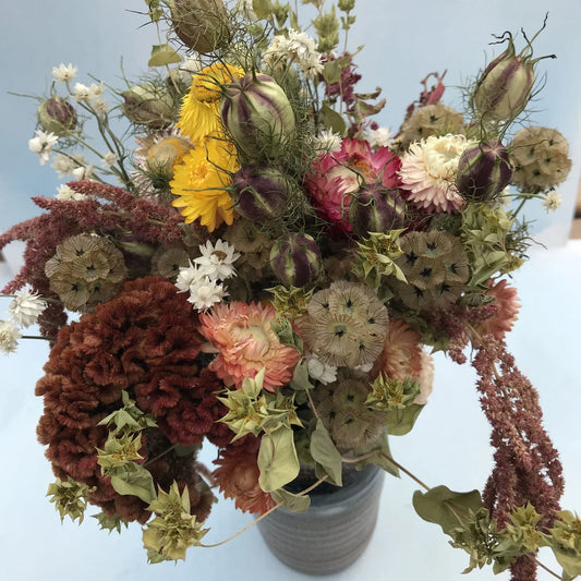 Everlasting Flower Mix