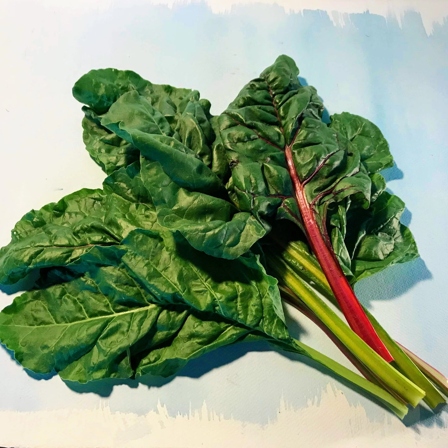 Rainbow Chard - The Feral Market