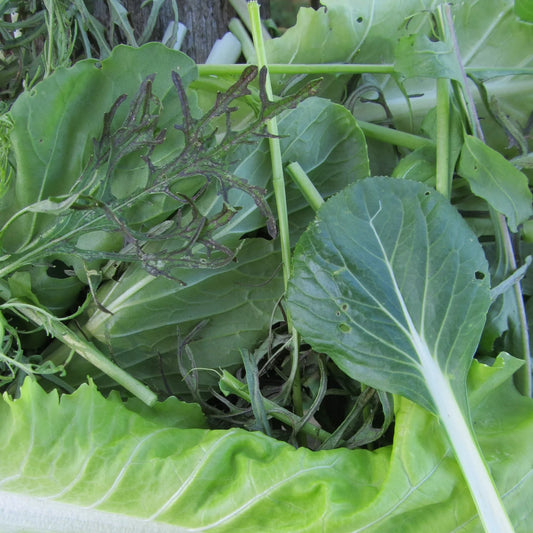 Salad Savor Mix - The Feral Market