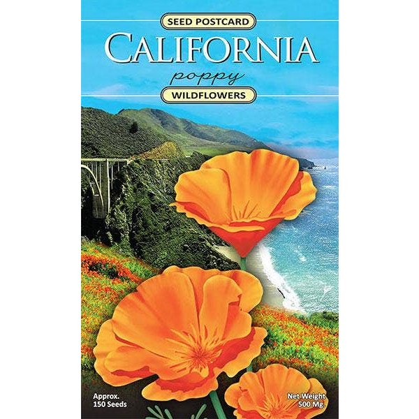 California Poppy Wildflower Seed Packet