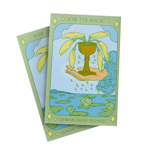 Lemon Drop Pepper Tarot Garden + Gift Seed Packet - The Feral Market