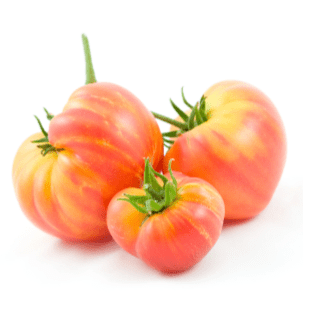 Hillbilly Tomato Garden + Gift Seed Packet - The Feral Market