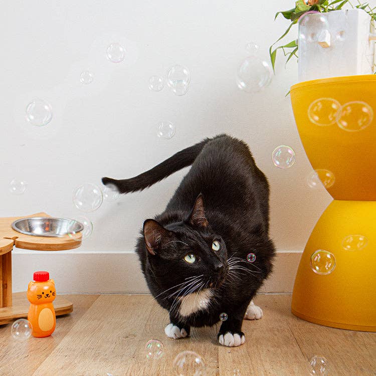 Kiko Catnip Bubbles - The Feral Market