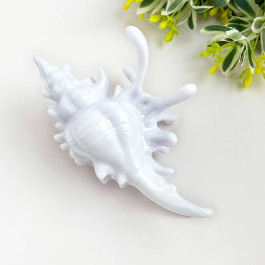 Seashell Hair Claw Clip, Ocean-Inspired Marine Hair Clip - The Feral Market