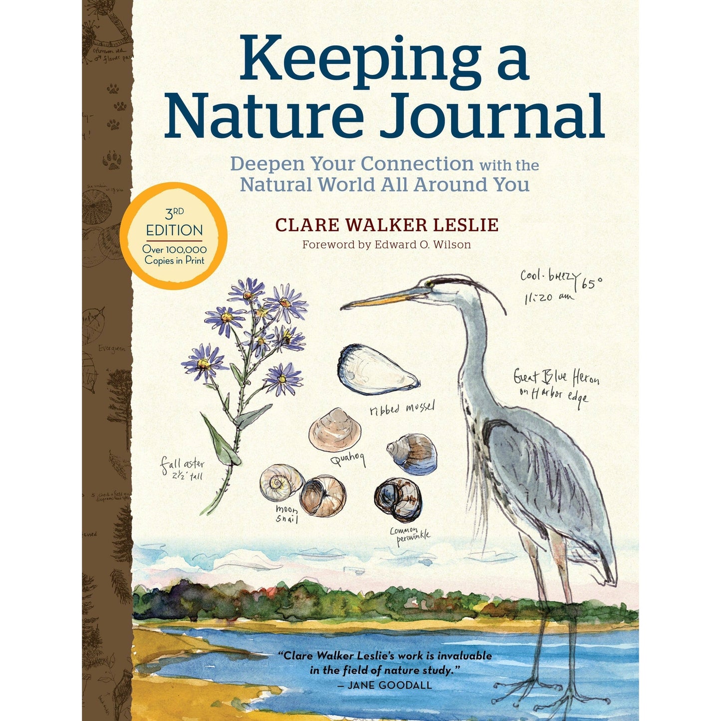 Keeping a Nature Journal, 3rd Edition - The Feral Market