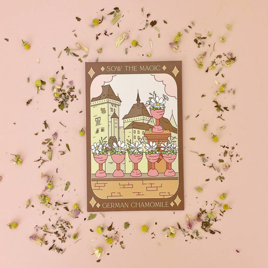 German Chamomile Tarot Garden + Gift Seed Packet - The Feral Market