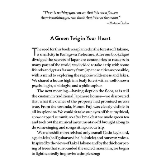 Forest Bathing: The Rejuvenating Practice of Shinrin Yoku