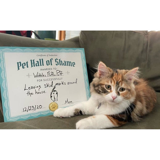 PET HALL OF SHAME - Pet Shaming Dry Erase Board