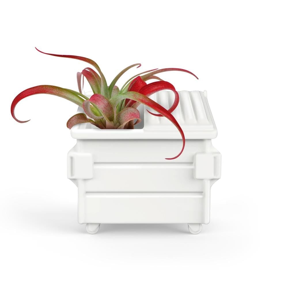 Airplant Holder - Dumpster