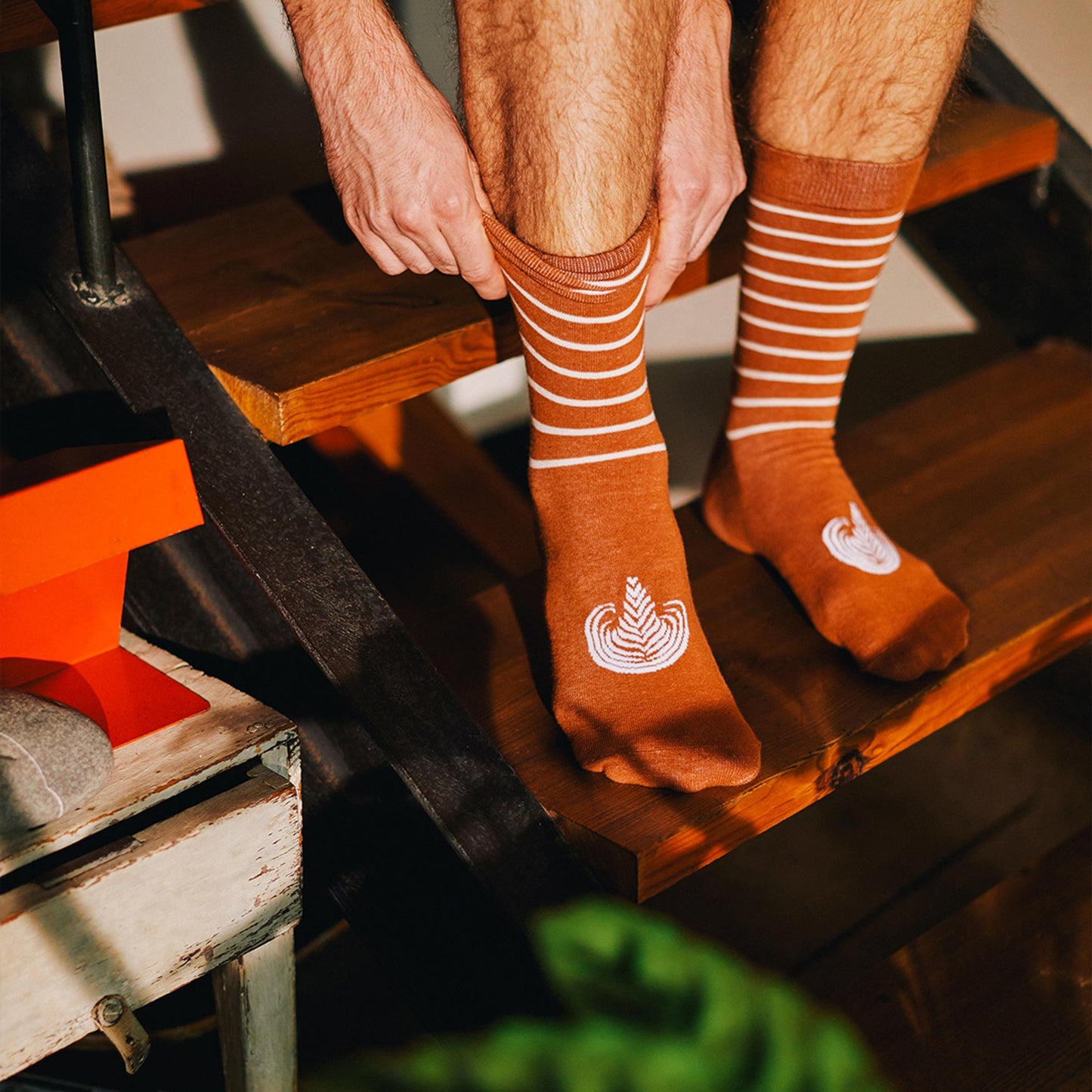 Latte Socks - The Feral Market
