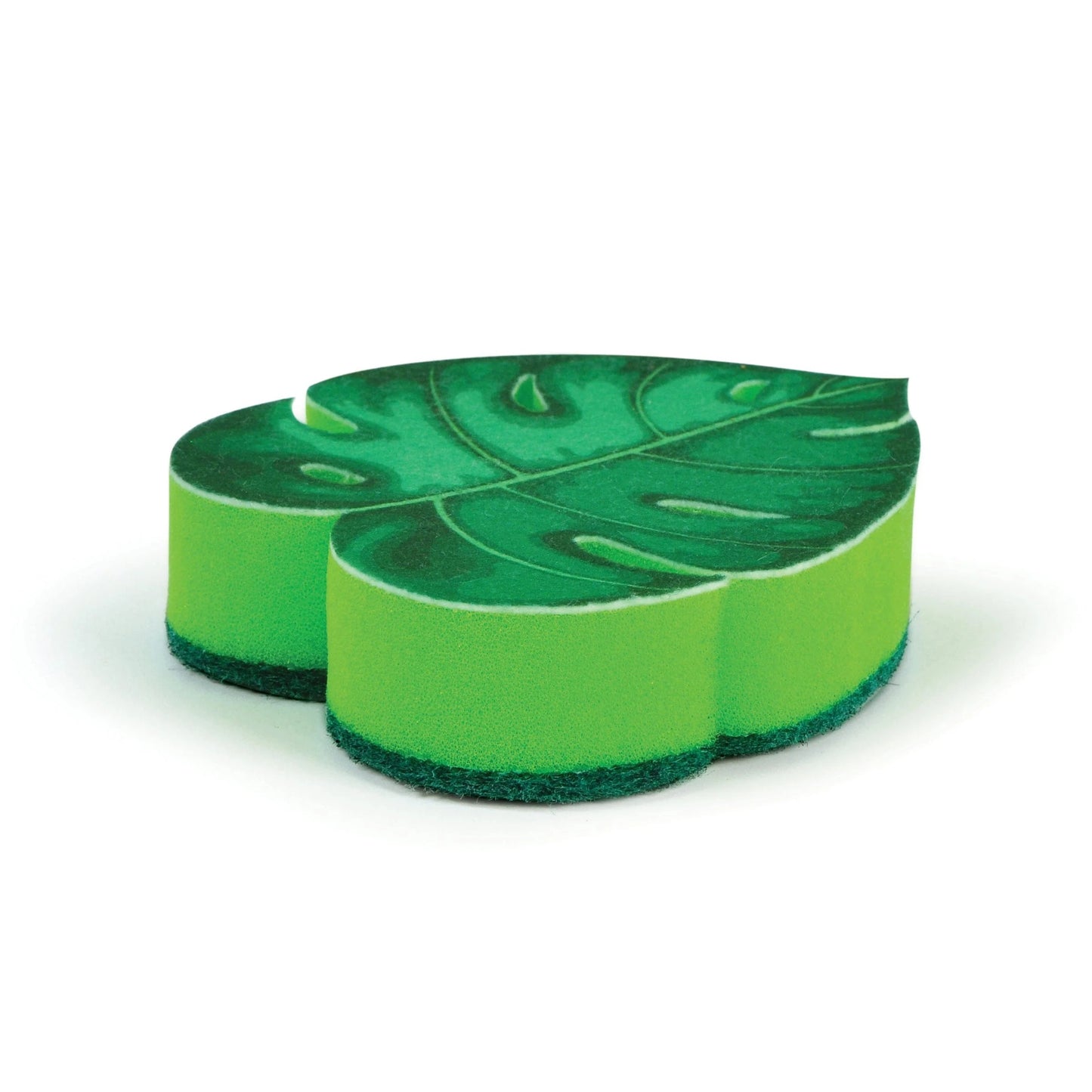 Houseplant Monstera Sponge