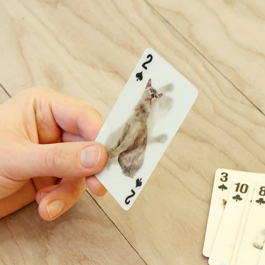 Playing Cards Cats 3D
