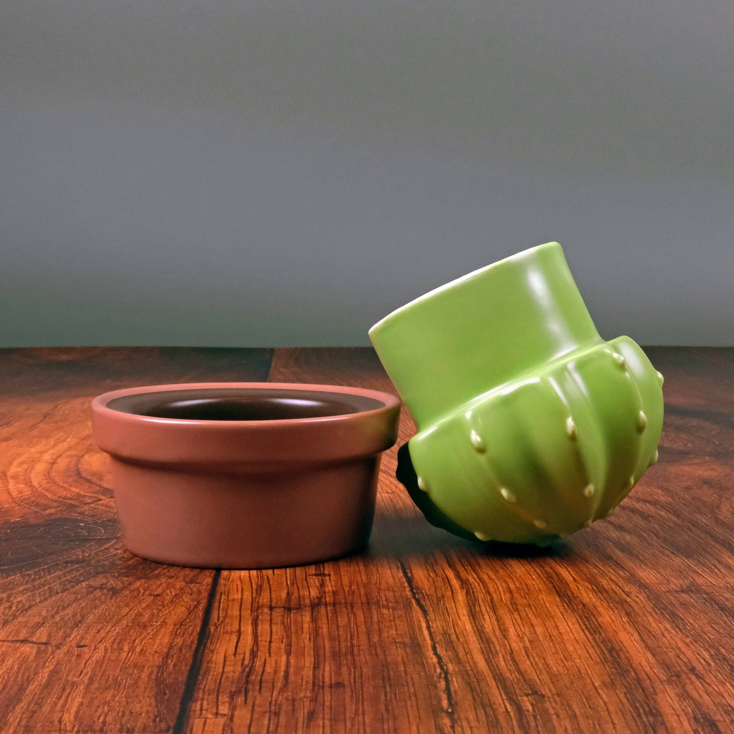 HOUSE PLANT - Ceramic Cactus Butter Storage