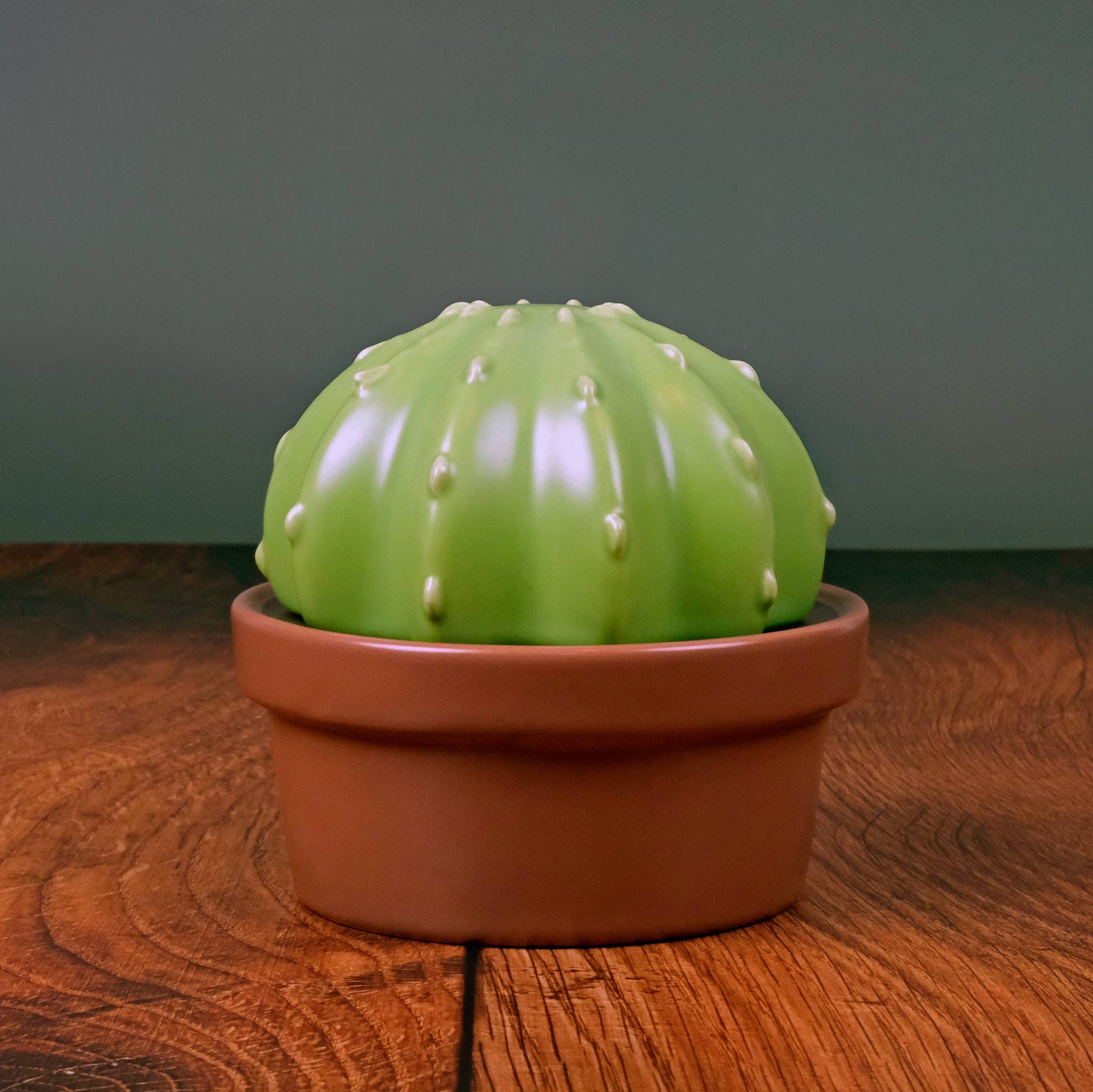 HOUSE PLANT - Ceramic Cactus Butter Storage