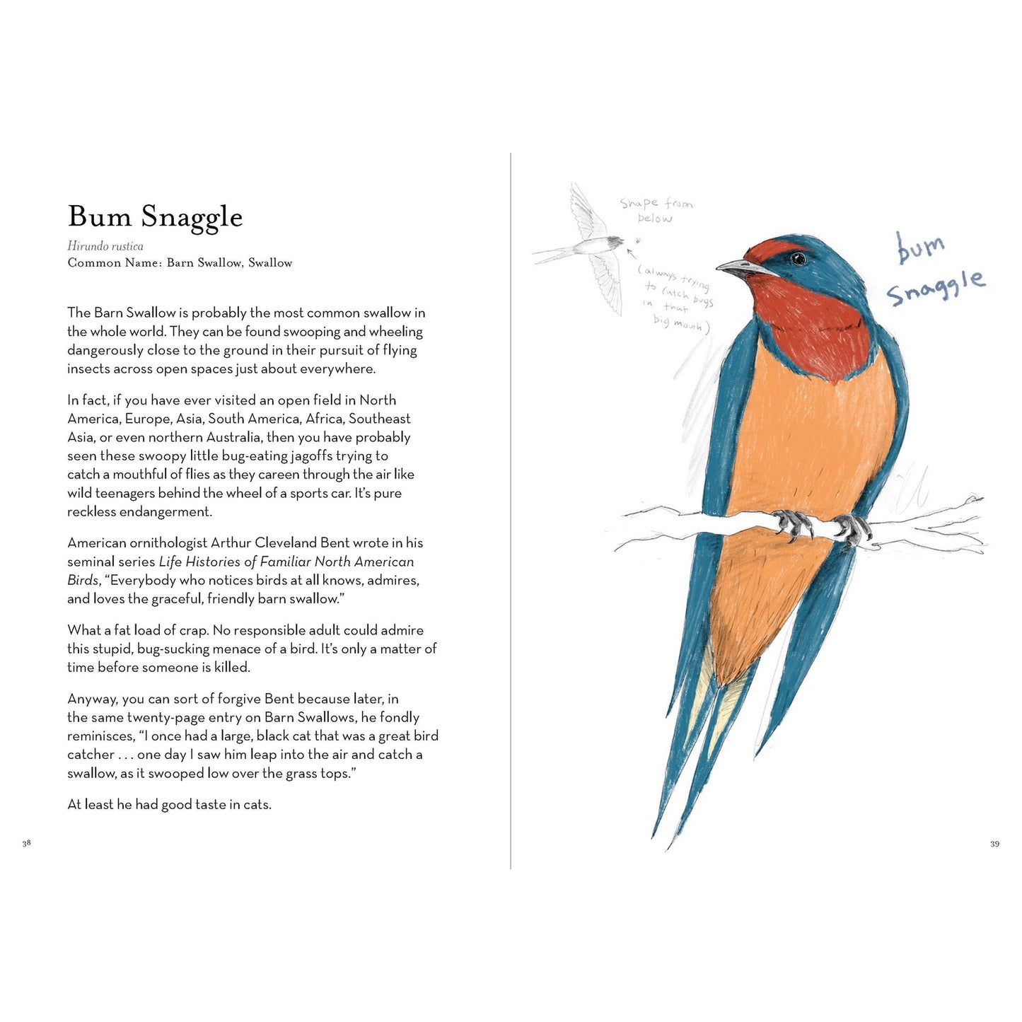Dumb Birds Field Guide to the Worst Birds Ever