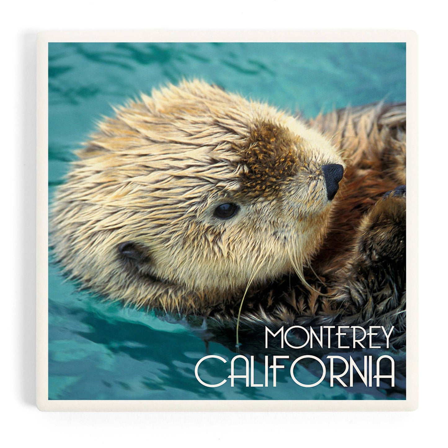 Ceramic Coaster Monterey, California Sea Otter Photograph