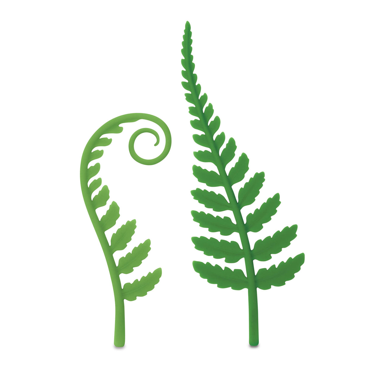 WOODLAND SPROUTS - Fern Bookmarks - Set of Two - The Feral Market