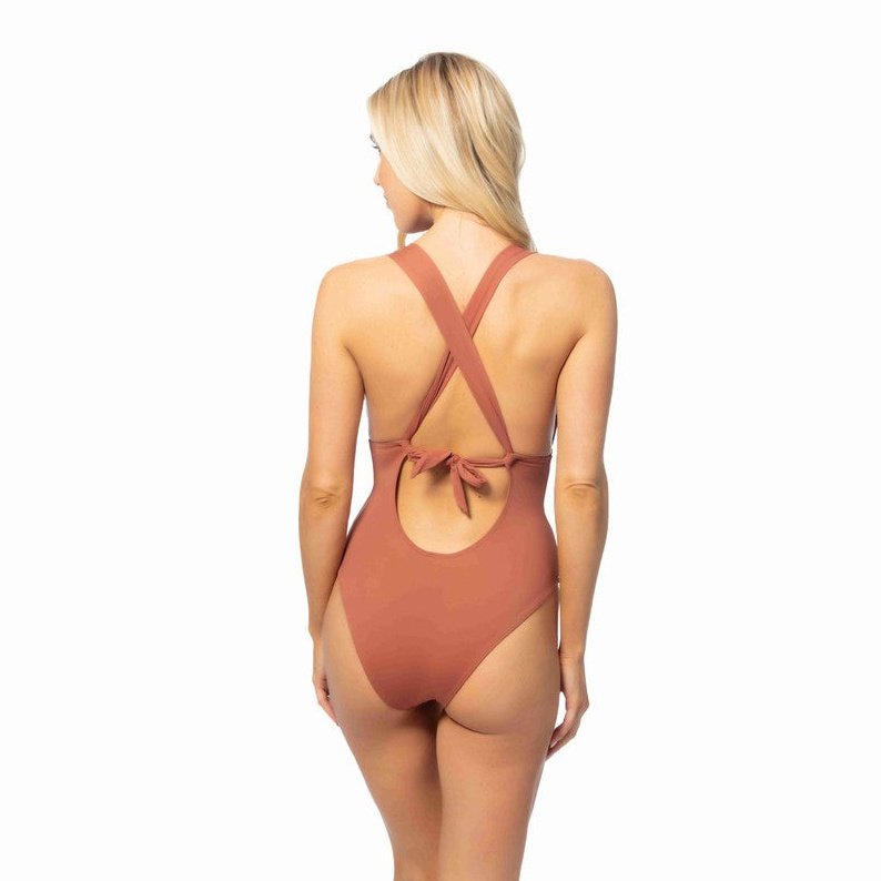 Rust Plunge One Piece Swimsuit