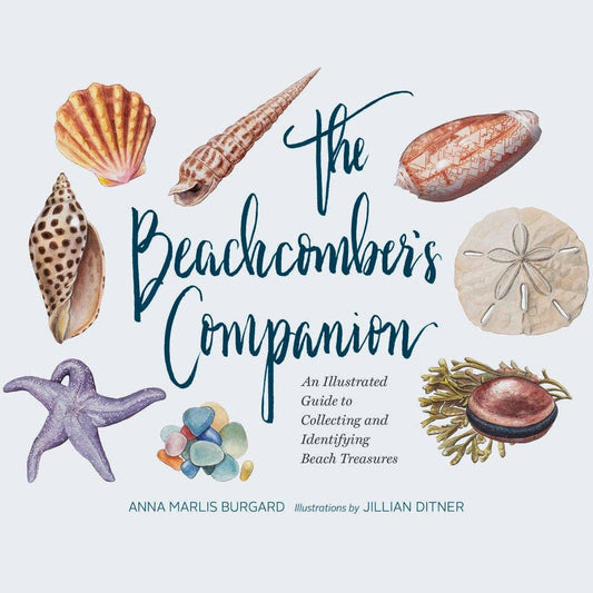 The Beachcomber's Companion