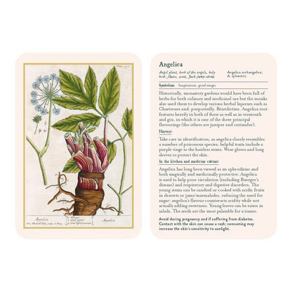 Healing Plants