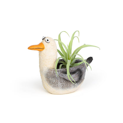 Seagull Blobhouse Planter - Gulliver