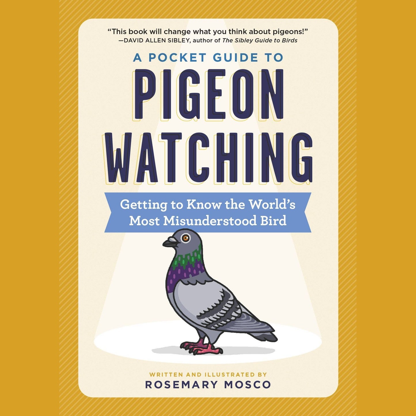 A Pocket Guide to Pigeon Watching