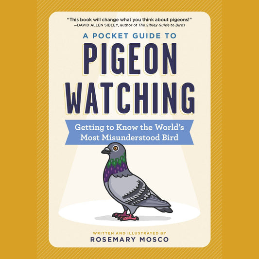 A Pocket Guide to Pigeon Watching
