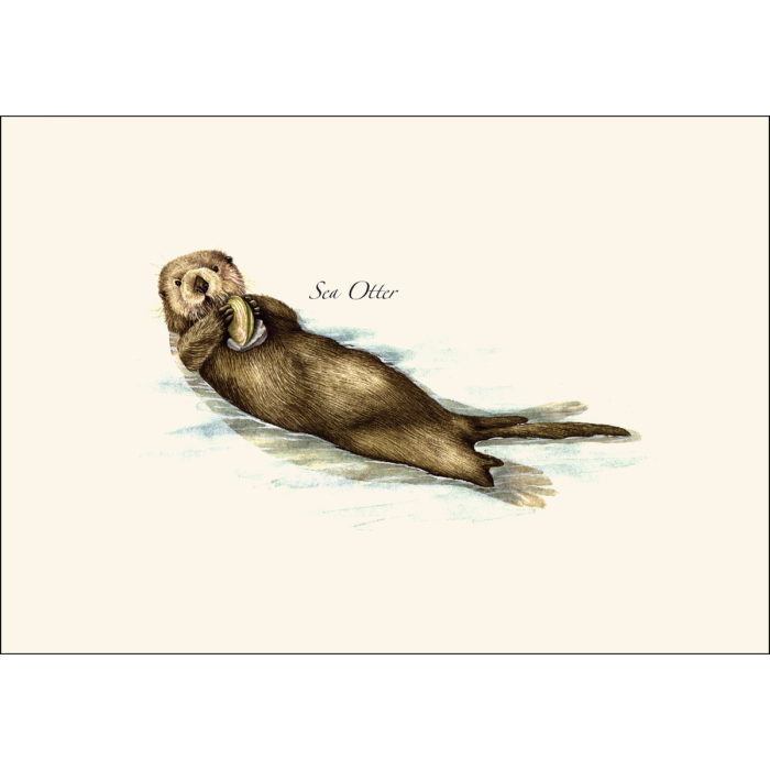 Sea Otter Notecard Set on Recycled Paper