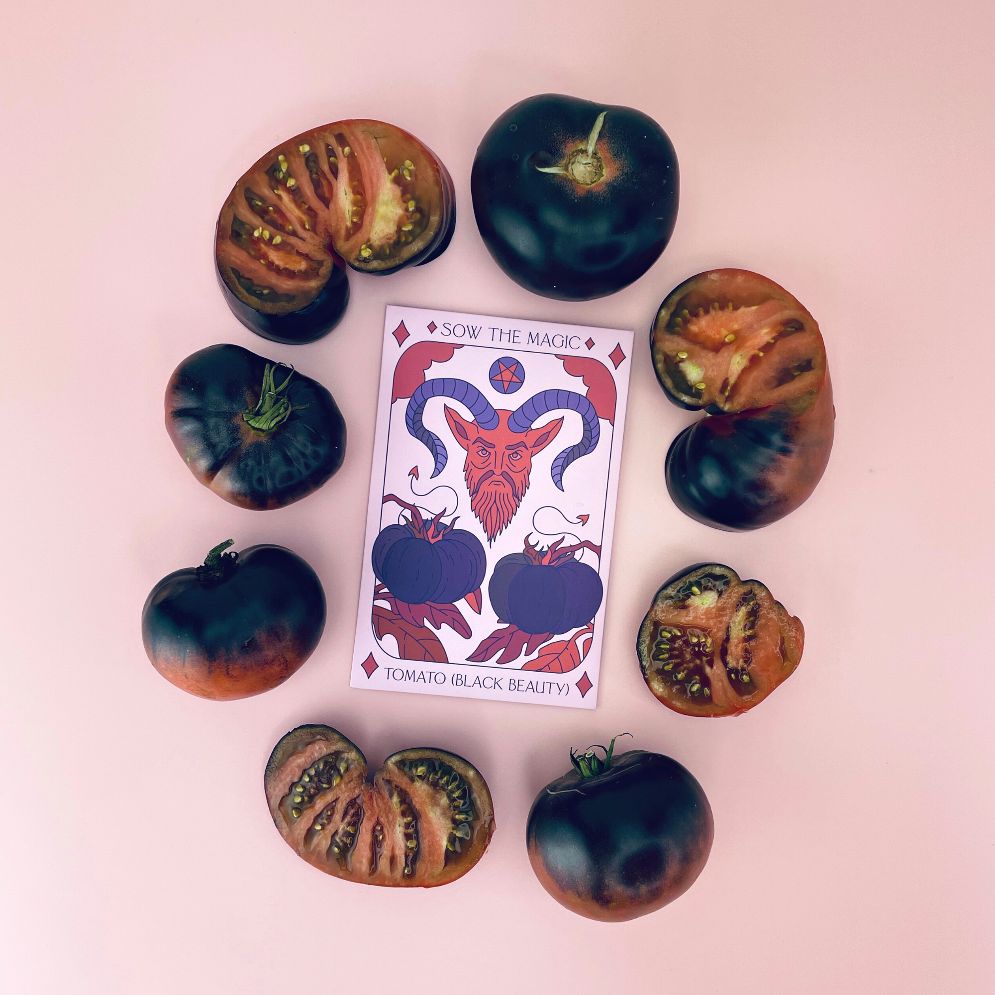 Black Beauty Tomato Tarot Garden + Gift Seed Packet - Thumbnail 5
