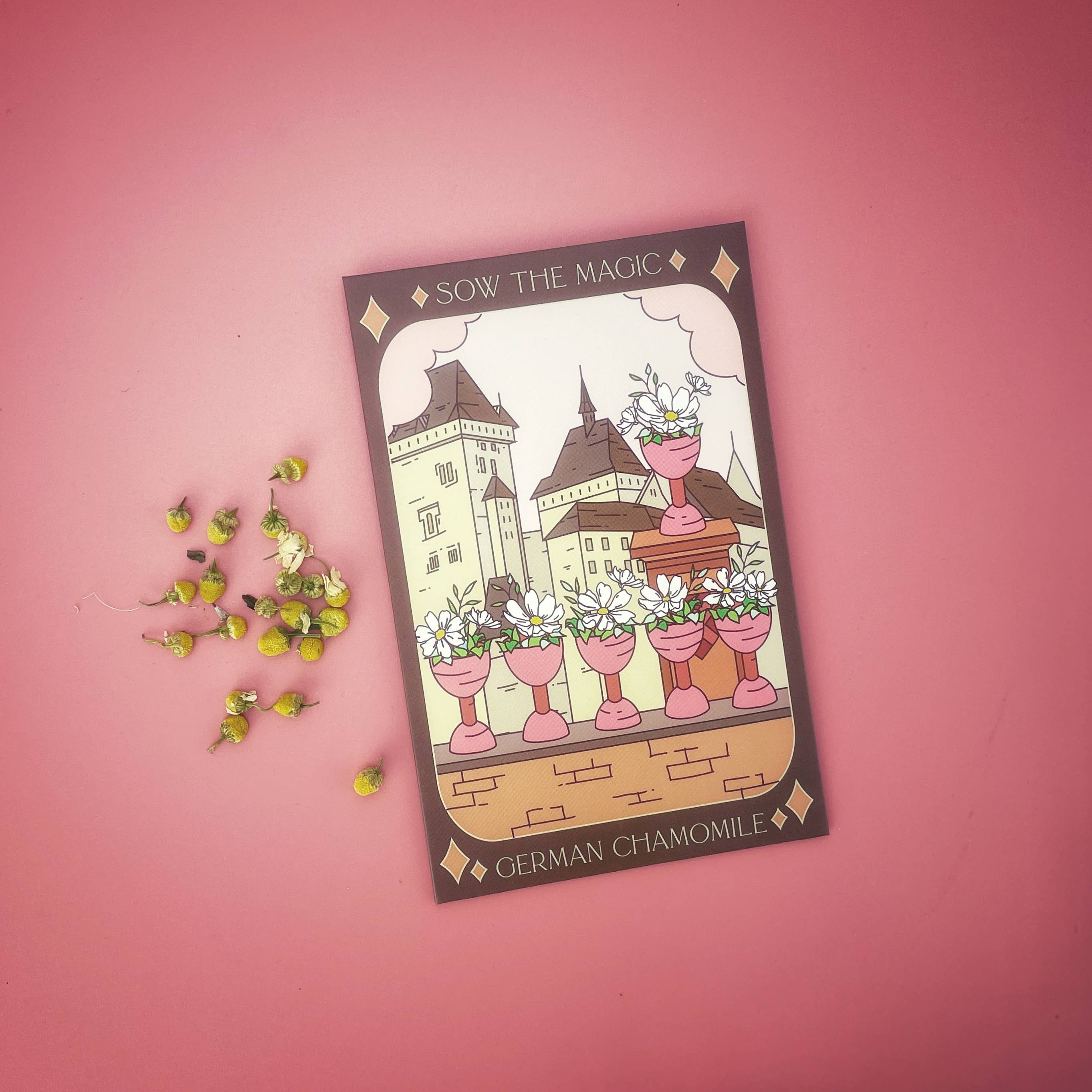 German Chamomile Tarot Garden + Gift Seed Packet - Thumbnail 4