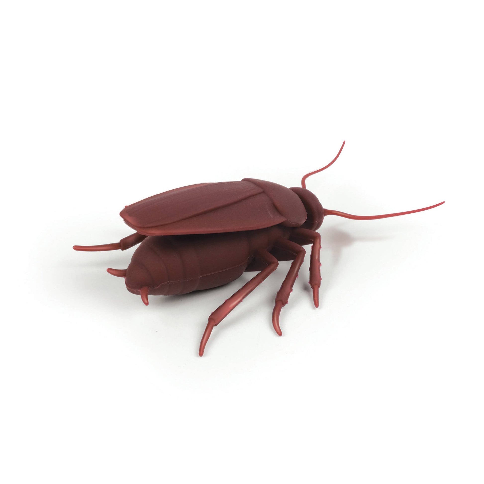 CORKROACH - Roach Bottle Stopper - The Feral Market
