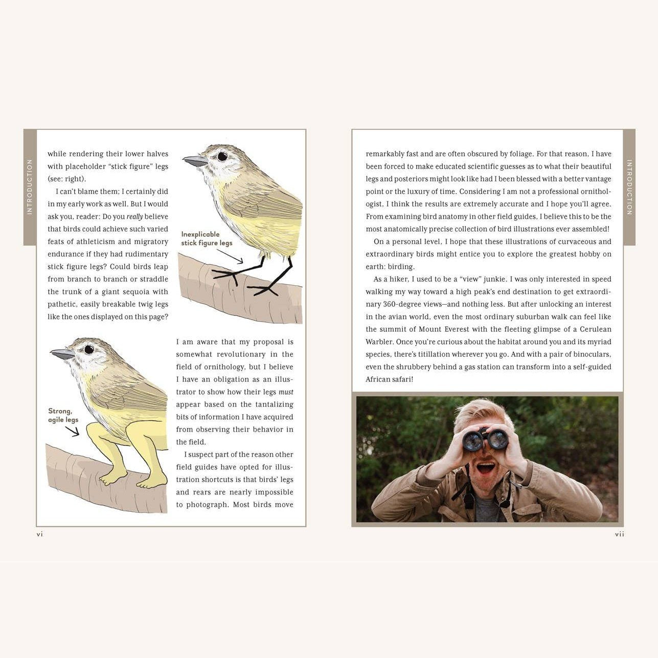 Extremely Accurate Birds