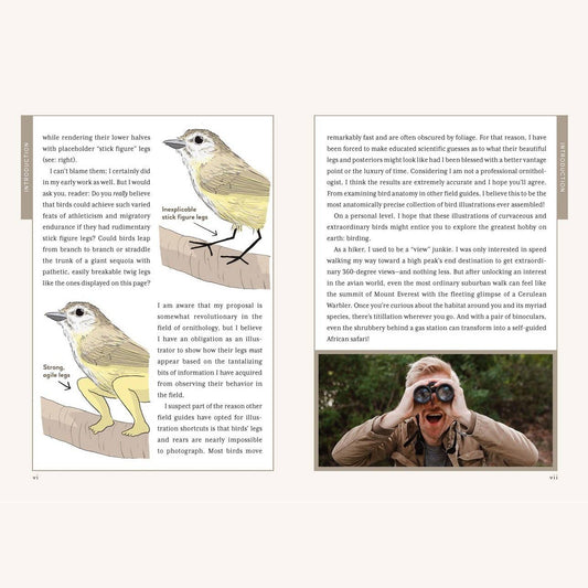 Extremely Accurate Birds