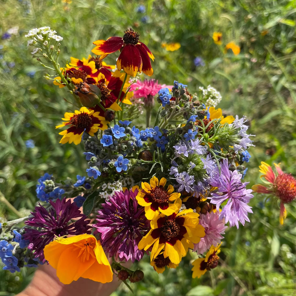 Bee Friendly Meadow Mix Seed Shaker - The Feral Market