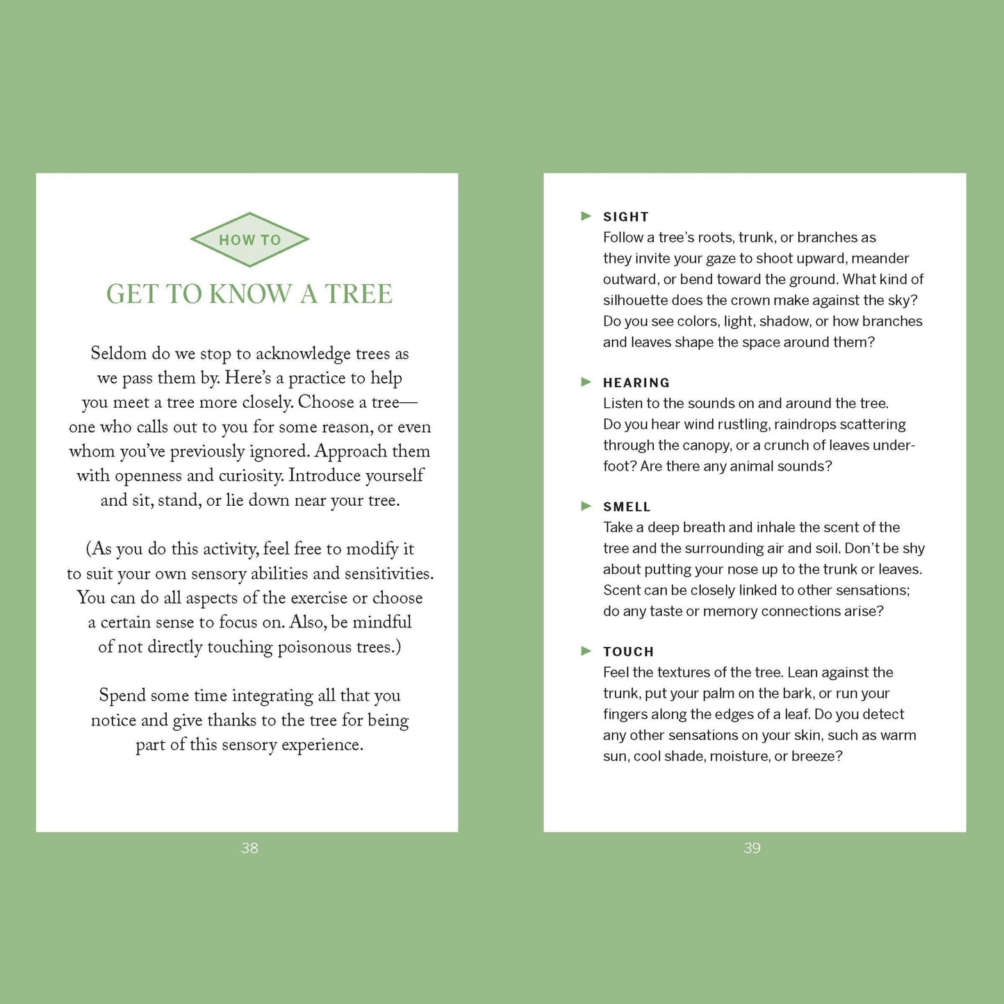 Pocket Nature: Tree Hugging