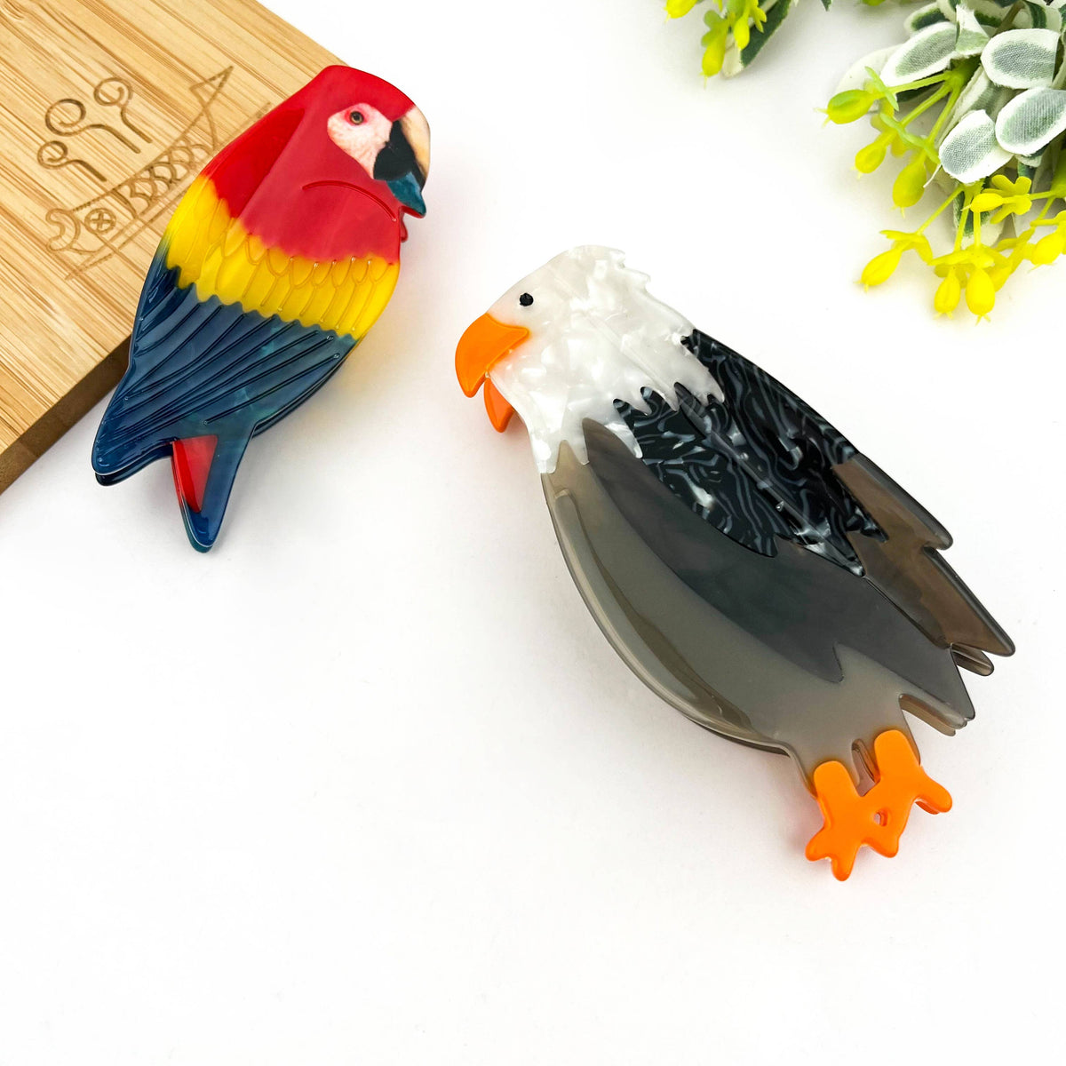 Colorful Parrot Claw Hair Clip, Acetate Eagle Hair Clip - The Feral Market