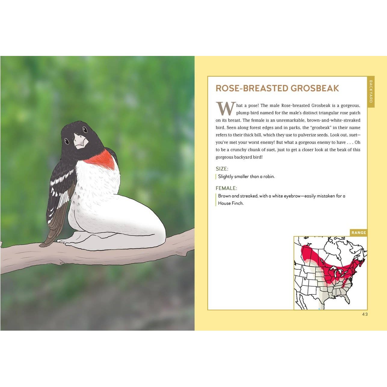 Extremely Accurate Birds