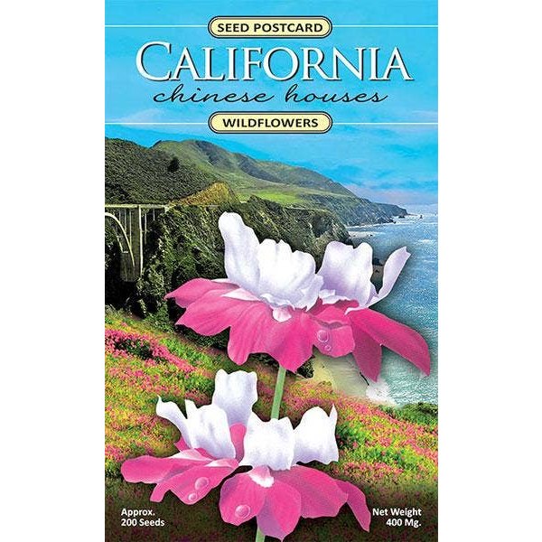 California Chinese Houses Wildflower Seed Packet - The Feral Market