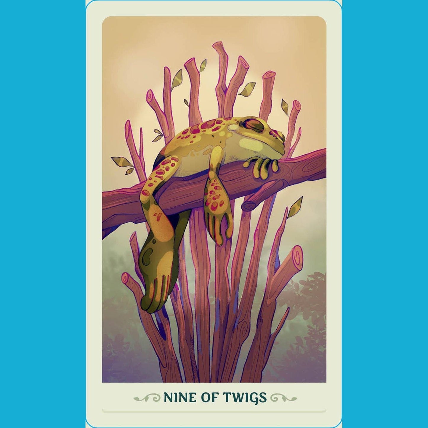 Fortunate Frogs