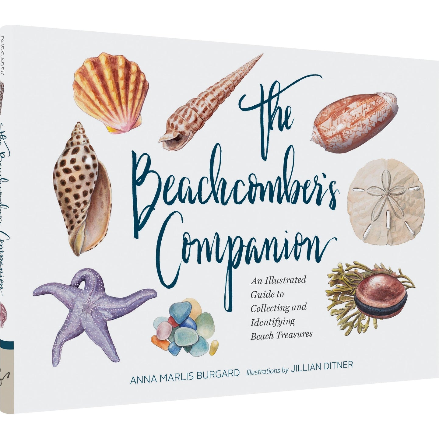 The Beachcomber's Companion