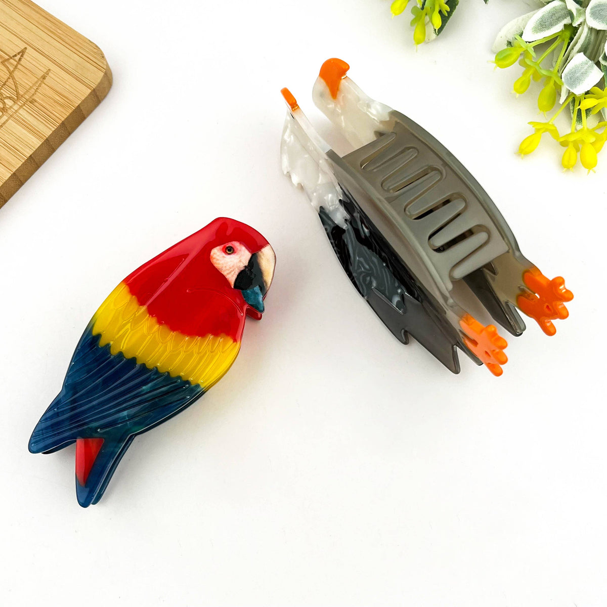 Colorful Parrot Claw Hair Clip, Acetate Eagle Hair Clip - The Feral Market