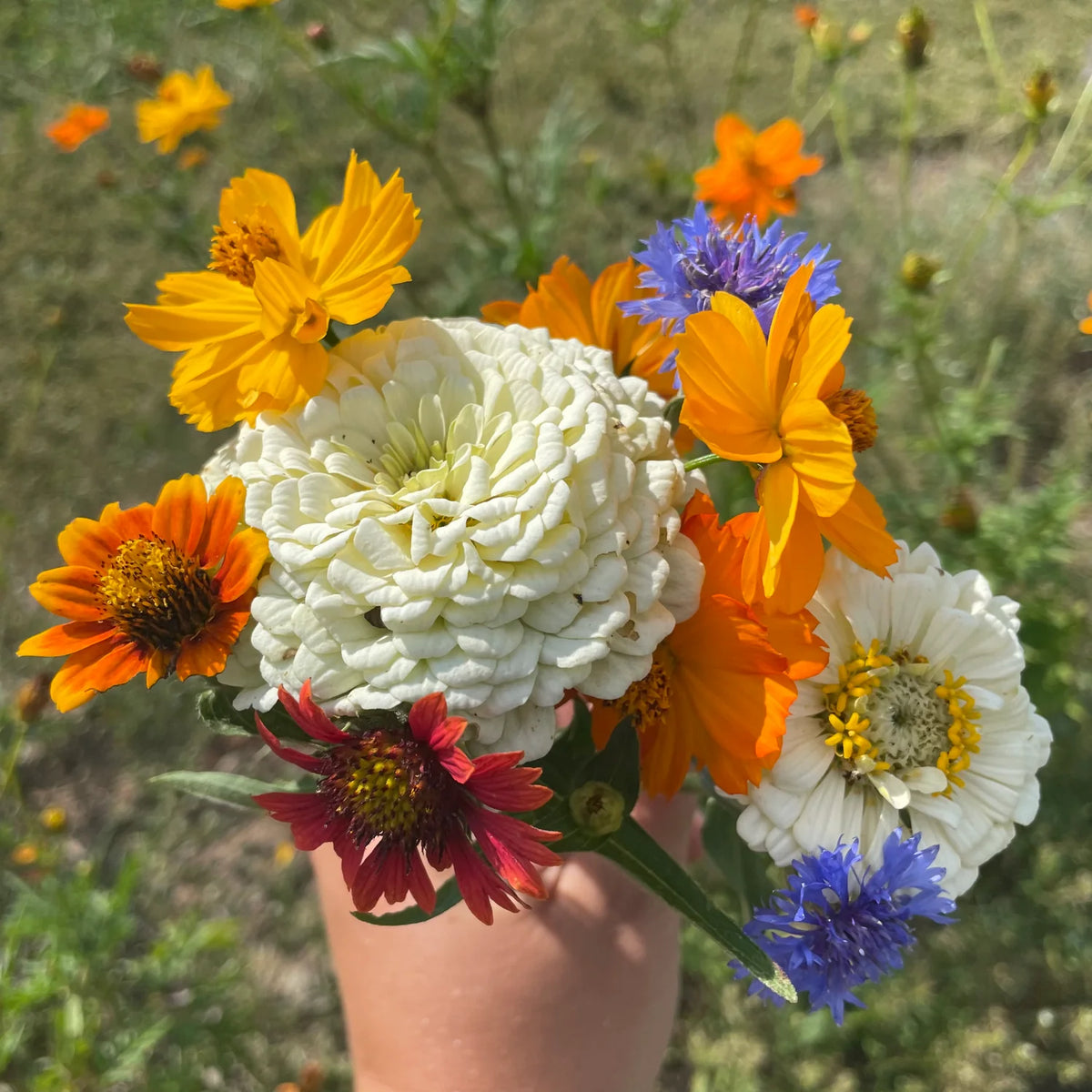 Good Bug Blooms Mix - The Feral Market