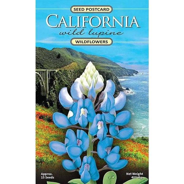California Wild Lupine Wildflower Seed Packet - The Feral Market