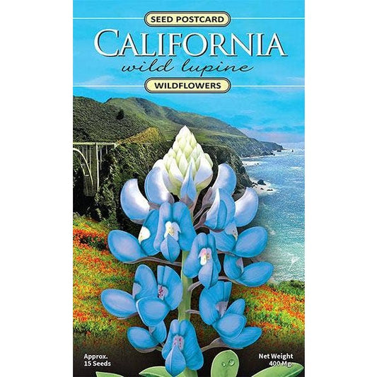 California Wild Lupine Wildflower Seed Packet - The Feral Market