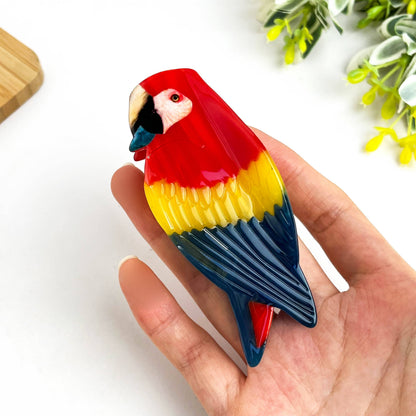 Colorful Parrot Claw Hair Clip, Acetate Eagle Hair Clip - The Feral Market